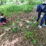 landart sur la cote d'opale en famille